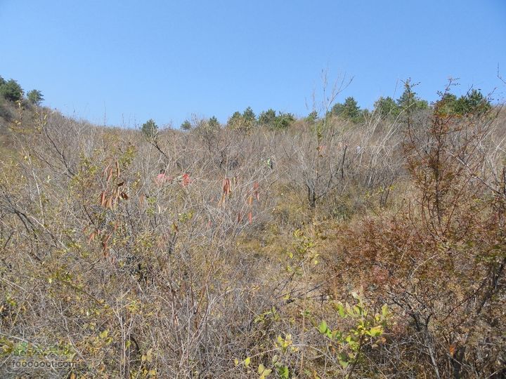 2011.10.29 红土岭-鲁班壑-绝壁-东安-三亩地出行DSC00595