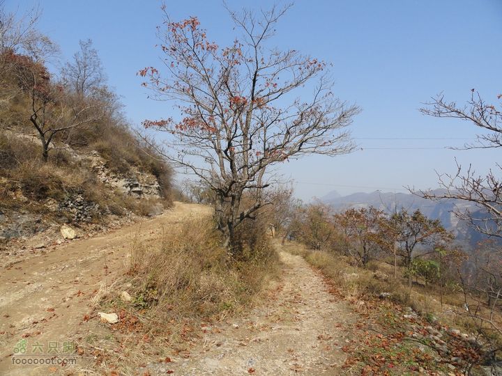 2011.10.29 红土岭-鲁班壑-绝壁-东安-三亩地出行DSC00598