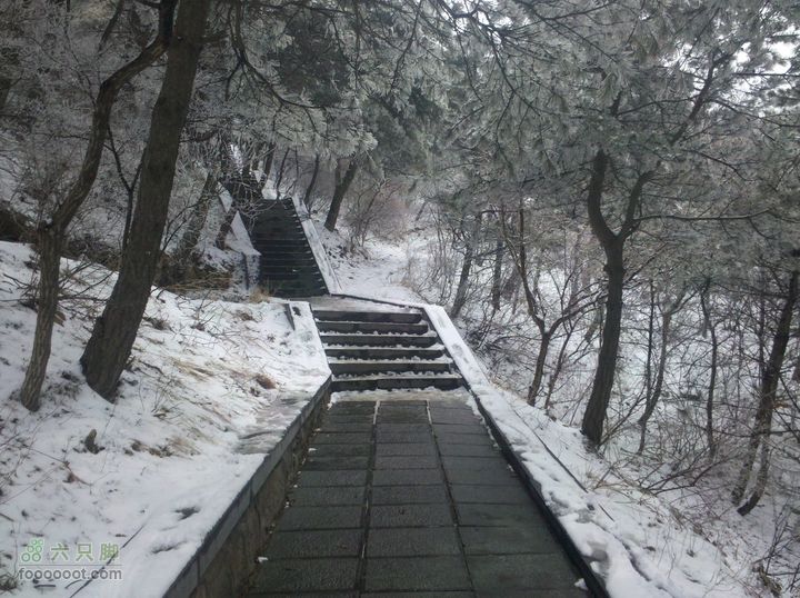 中岳嵩山(嵩阳书院->大法王寺->峻极峰->卢崖瀑布)海拔一千米以上的积雪还没融化