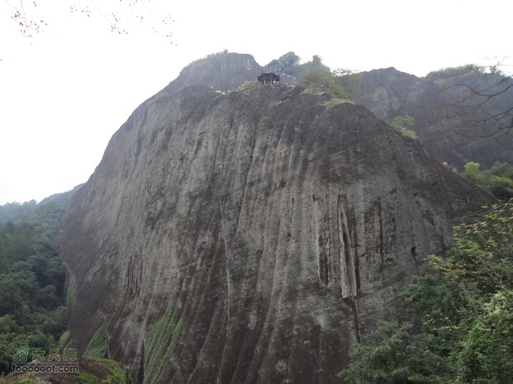 武夷山第一天DSC02207