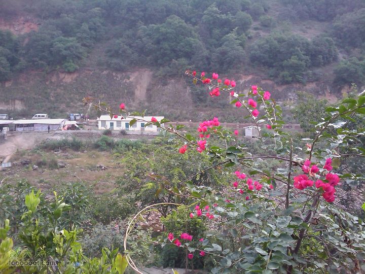 东村温泉IMAG0807