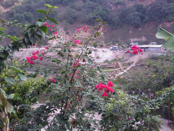 东村温泉IMAG0808