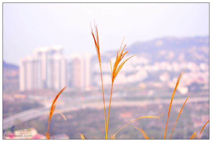 20111106--自驾北崮山DSC_6454