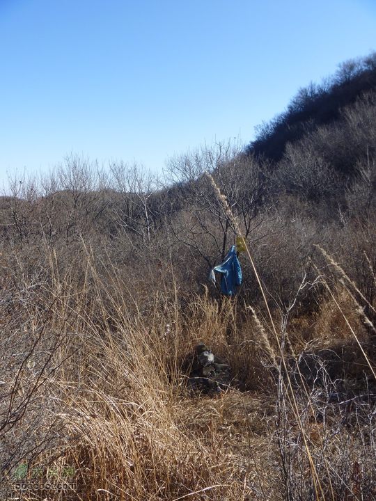 【灰地-十字道-铁陀山-滴水岩】空山岂无意A点——任老师最后的栖身地点