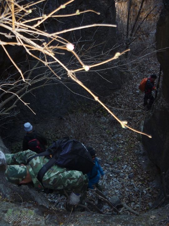 【灰地-十字道-铁陀山-滴水岩】空山岂无意P1010612