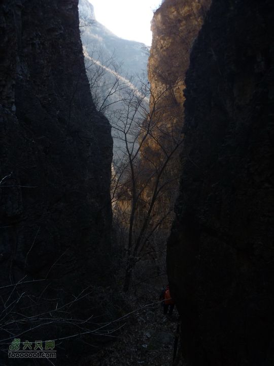 【灰地-十字道-铁陀山-滴水岩】空山岂无意P1010614