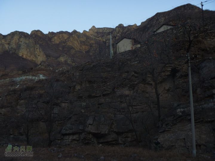 【灰地-十字道-铁陀山-滴水岩】空山岂无意大胡子偷柿子，柿子没偷成，倒把手杖扔树上下不来了