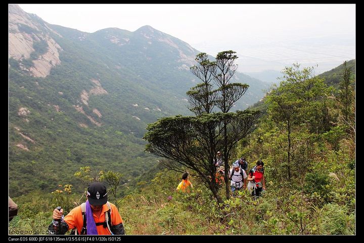 20111120台山望风塑IMG_9184