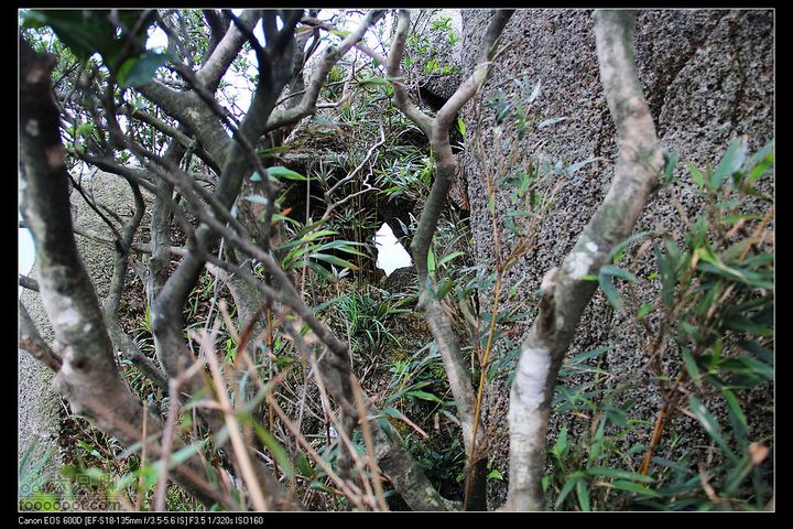 20111120台山望风塑IMG_9319