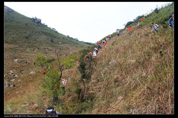 20111120台山望风塑IMG_9385