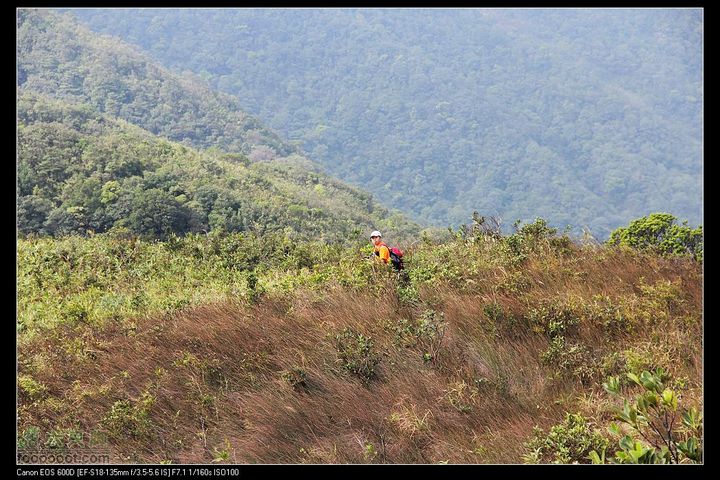 20111120台山望风塑IMG_9483