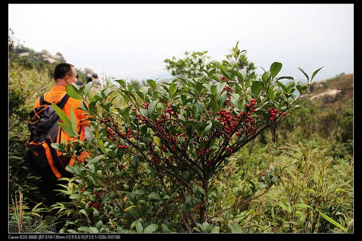 20111120台山望风塑IMG_9526