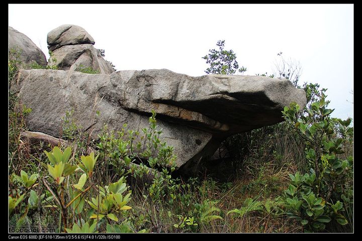 20111120台山望风塑IMG_9539