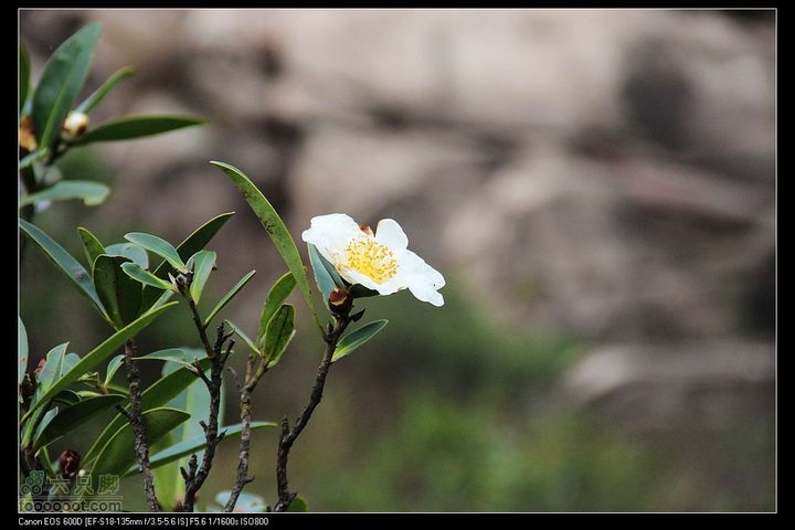 20111120台山望风塑IMG_9546