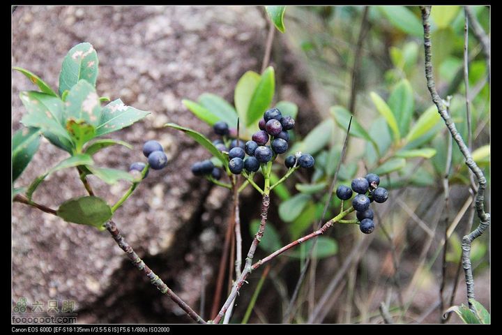 20111120台山望风塑IMG_9599
