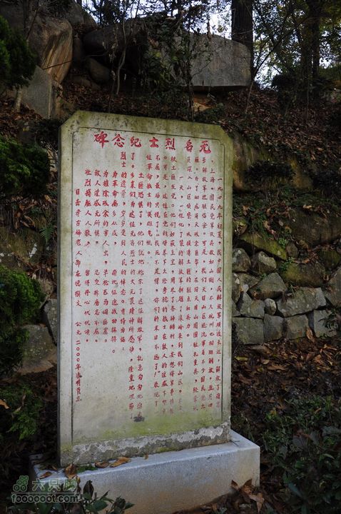 临安指南村杨家的黄色之旅_DSC6886
