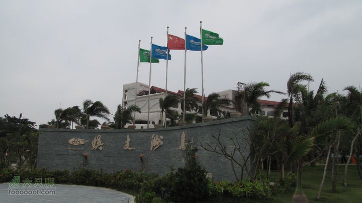 三亚蜈之洲岛经码头至三亚汽车总站IMG_7578