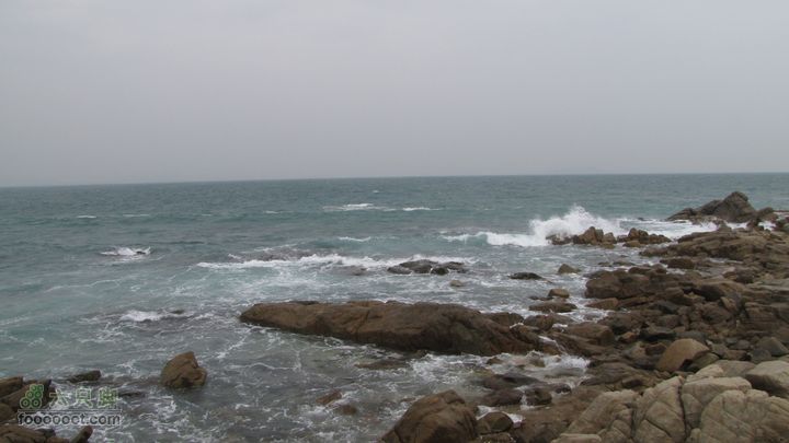 三亚蜈之洲岛经码头至三亚汽车总站IMG_7724