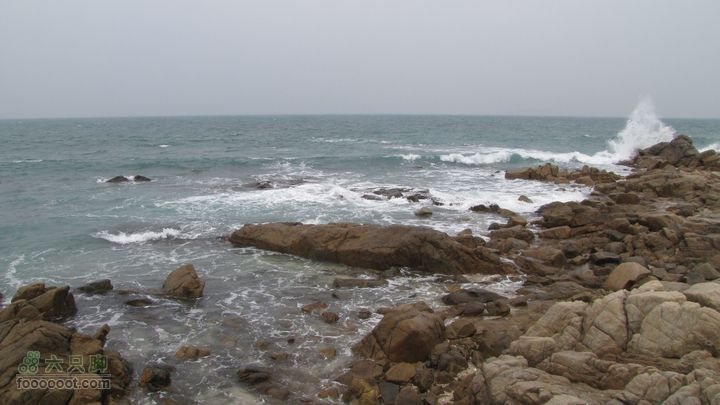 三亚蜈之洲岛经码头至三亚汽车总站IMG_7775