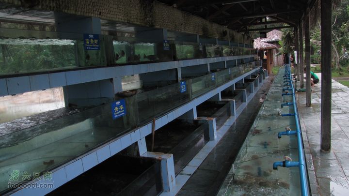 三亚蜈之洲岛经码头至三亚汽车总站IMG_8005