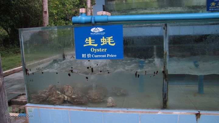 三亚蜈之洲岛经码头至三亚汽车总站IMG_8006