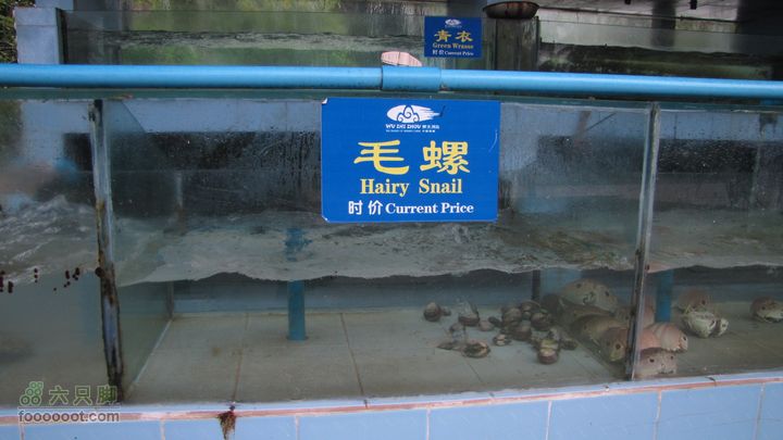 三亚蜈之洲岛经码头至三亚汽车总站IMG_8007