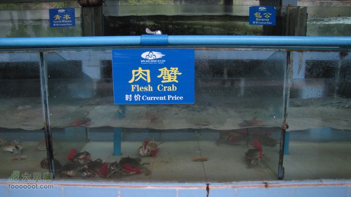 三亚蜈之洲岛经码头至三亚汽车总站IMG_8009