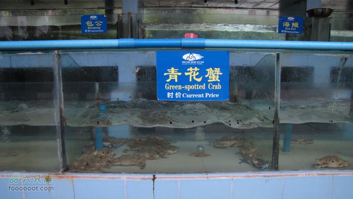 三亚蜈之洲岛经码头至三亚汽车总站IMG_8010