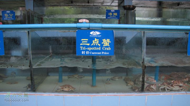 三亚蜈之洲岛经码头至三亚汽车总站IMG_8011