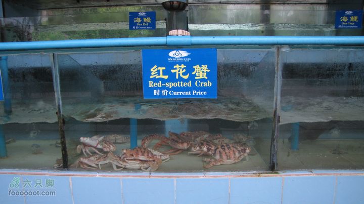 三亚蜈之洲岛经码头至三亚汽车总站IMG_8012