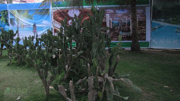 三亚蜈之洲岛经码头至三亚汽车总站IMG_8021