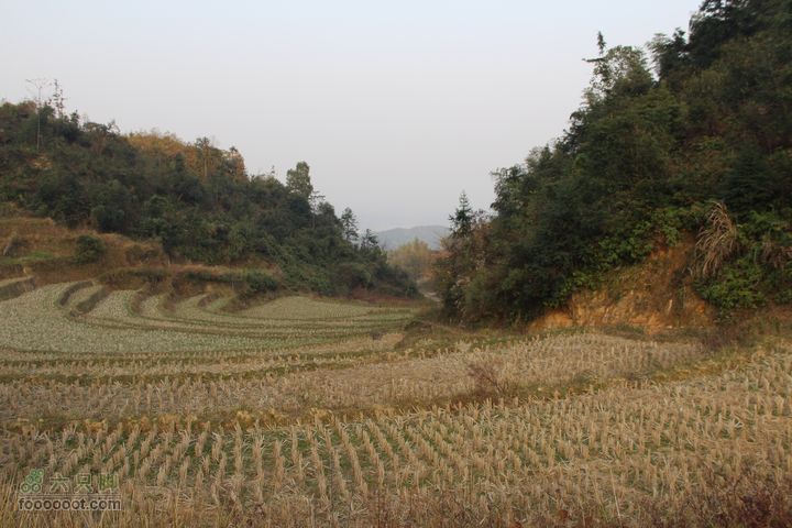 春城南庙登武举岭（风景篇）IMG_4758