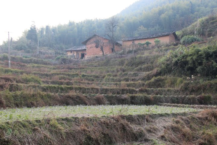 春城南庙登武举岭（风景篇）IMG_4748