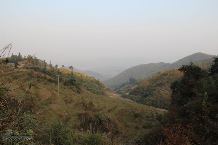 春城南庙登武举岭（风景篇）IMG_4753
