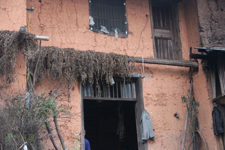 春城南庙登武举岭（风景篇）IMG_4851