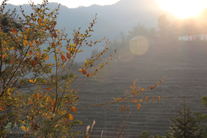 春城南庙登武举岭（风景篇）IMG_4764