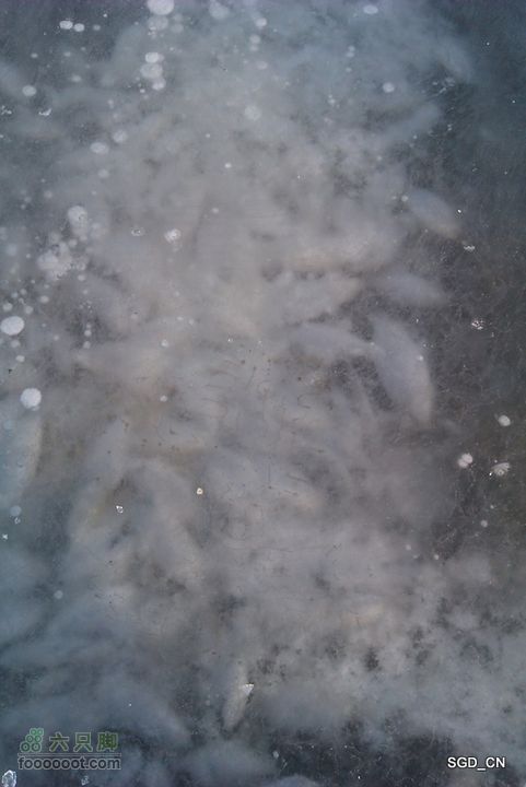 冰天雪地_莲花湖IMAG0145