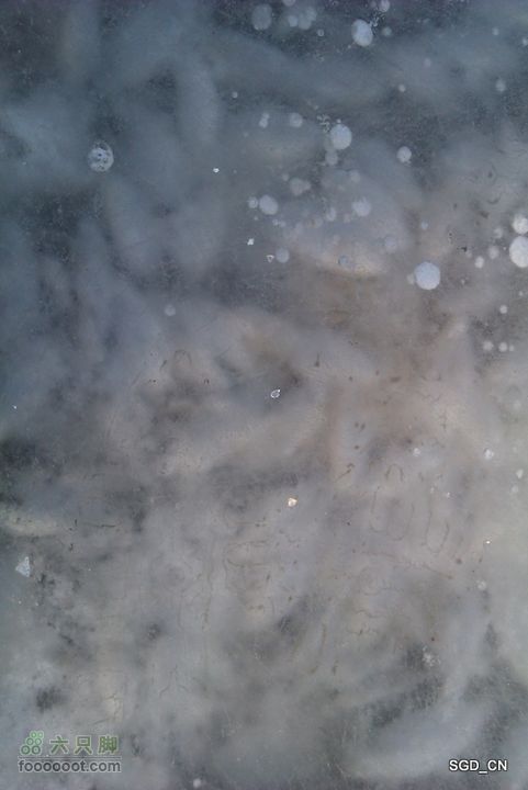 冰天雪地_莲花湖IMAG0146