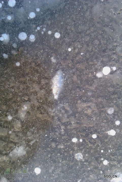 冰天雪地_莲花湖IMAG0157