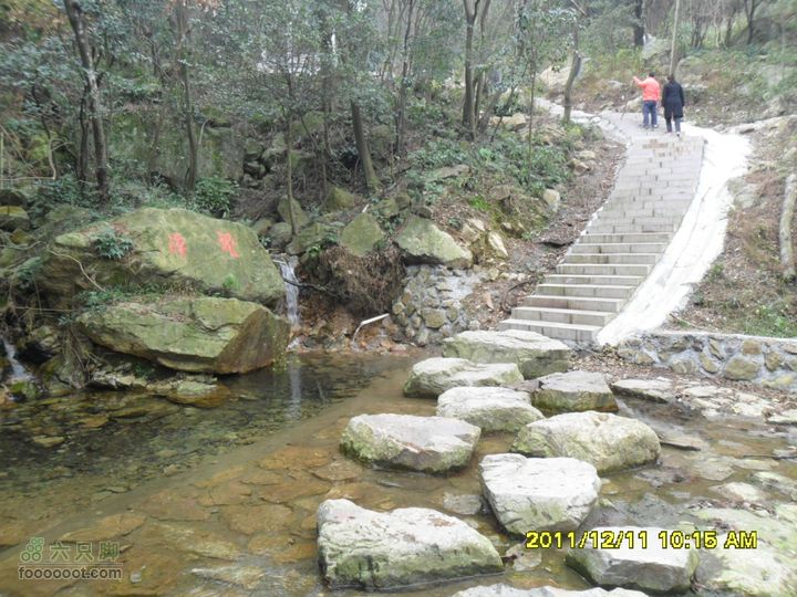 太白山森林游步道-回龙坡SAM_0035