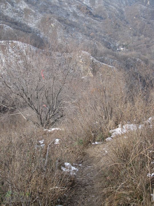 2011.12.11果峪沟-二杆子-翠微峰-野生动物园IMG_0134