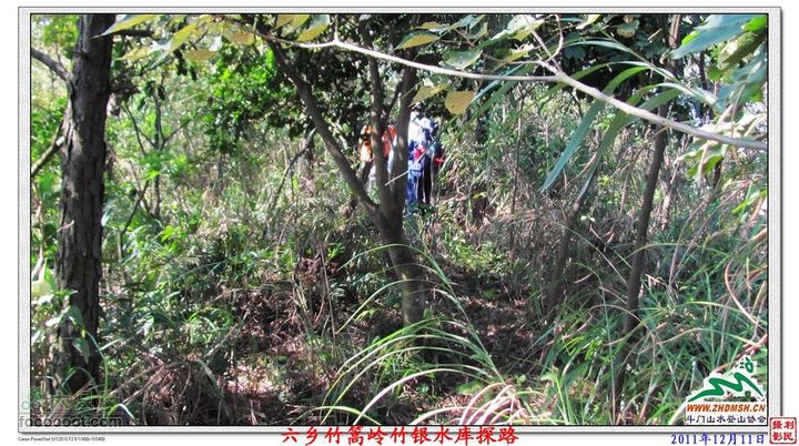 2011年12月11日六乡竹篙岭竹银水库探路竹篙岭_052