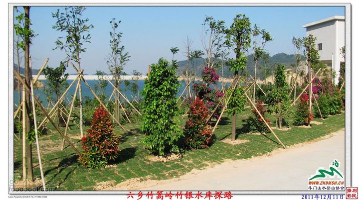 2011年12月11日六乡竹篙岭竹银水库探路竹篙岭_077