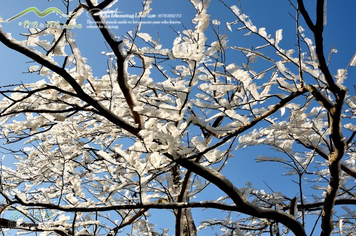 牯牛降穿越DSC_2017