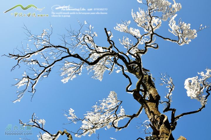 牯牛降穿越DSC_2024