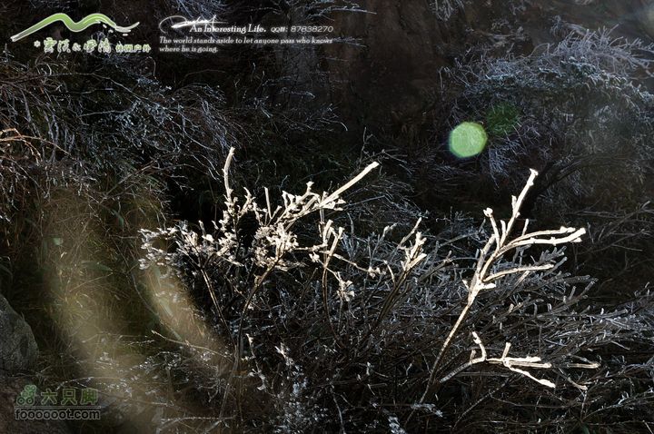 牯牛降穿越DSC_2038