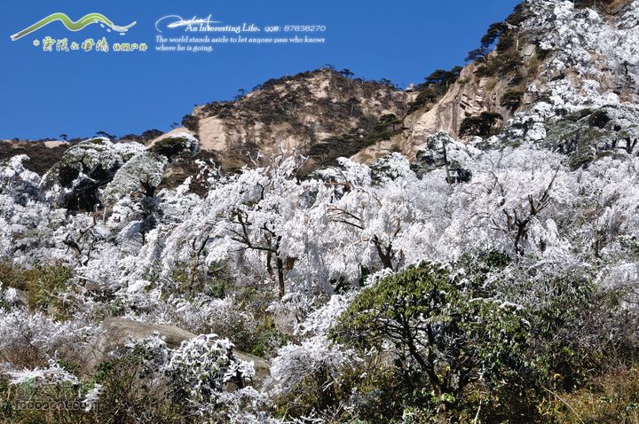 牯牛降穿越DSC_2053