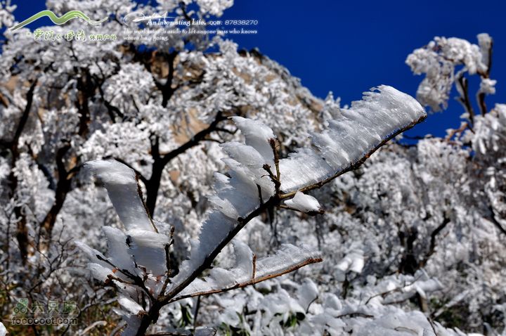 牯牛降穿越DSC_2060