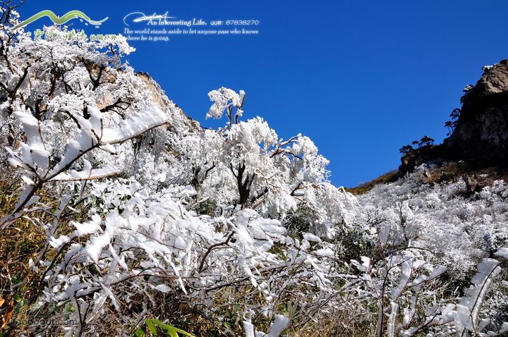 牯牛降穿越DSC_2061