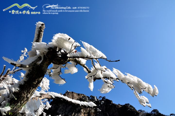 牯牛降穿越DSC_2063